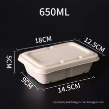 Wholesale Disposable Biodegradable Eco Sugarcane Bagasse Fast Food Container Tray